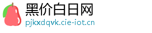 黑价白日网